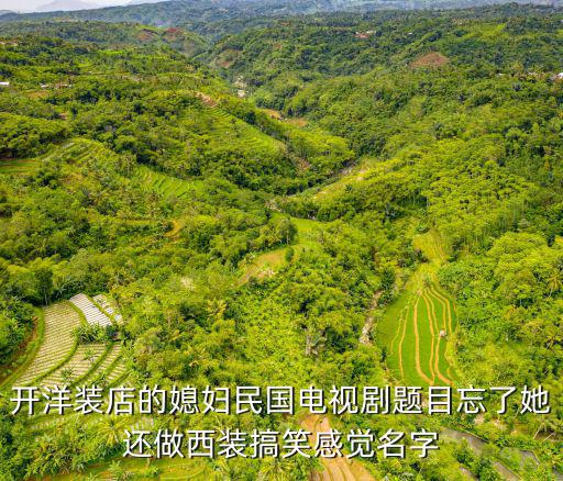 開洋裝店的媳婦民國電視劇題目忘了她還做西裝搞笑感覺名字