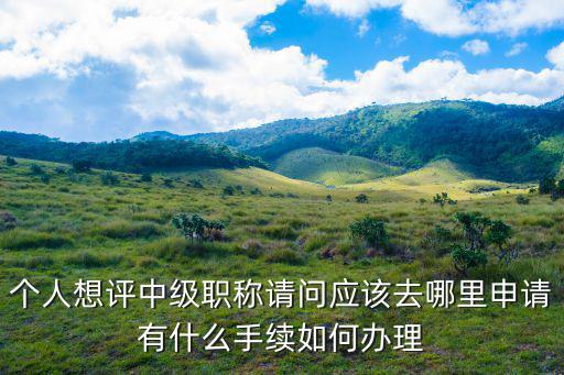 個人想評中級職稱請問應該去哪里申請有什么手續如何辦理