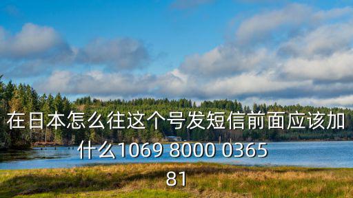 在日本怎么往這個(gè)號(hào)發(fā)短信前面應(yīng)該加什么1069 8000 0365 81