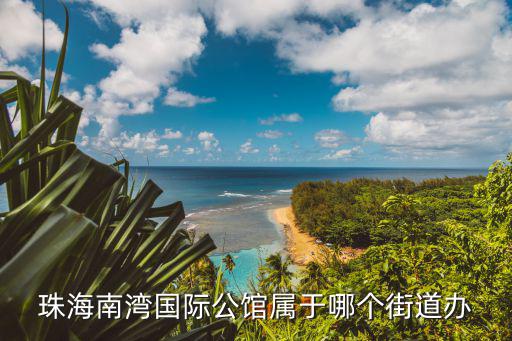 南灣國際，珠海南灣國際公館屬于哪個街道辦