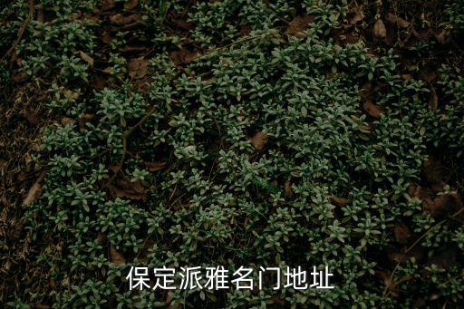 保定派雅名門地址