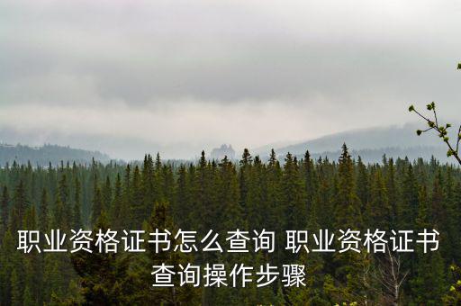 職業資格證查詢，國家職業 資格證查詢