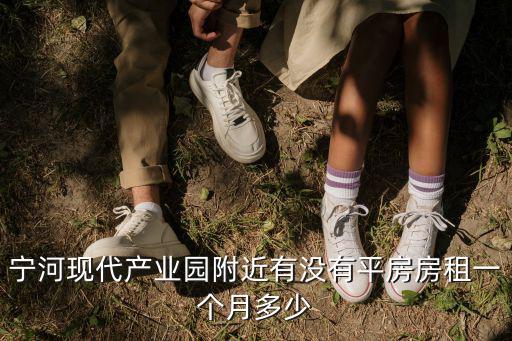 寧河現代產業園附近有沒有平房房租一個月多少