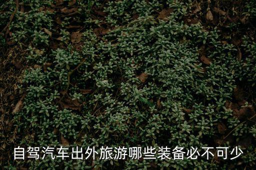 自駕汽車出外旅游哪些裝備必不可少