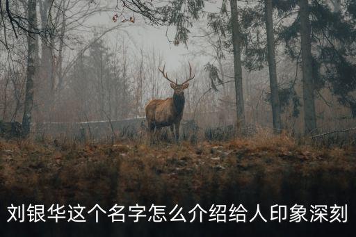 劉銀華這個名字怎么介紹給人印象深刻