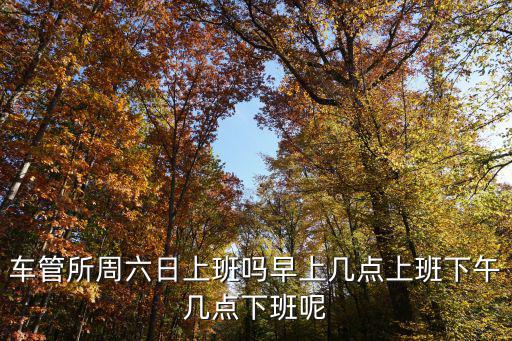 車管所上班時間，昆明經開車管所大年后什么時候上班