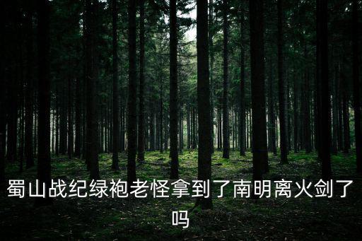 蜀山戰紀綠袍老怪拿到了南明離火劍了嗎