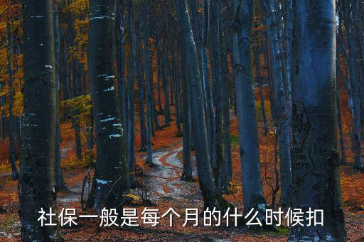 社保一般是每個月的什么時候扣