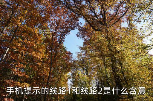 線路1，手機的線路一和線路二是什么意思謝了