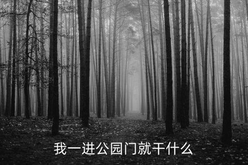 公園門，我一進公園門就干什么