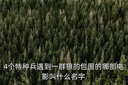 4個(gè)特種兵遇到一群狼的包圍的哪部電影叫什么名字