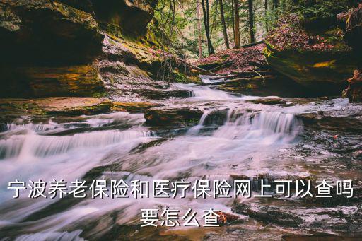 寧波人力資源和社會保障局官網，寧波勞動局網站