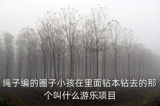 繩子編的圈子小孩在里面鉆本鉆去的那個叫什么游樂項目