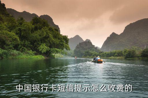 短信通知費，中國銀行短信通知服務費是多少
