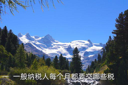 一般納稅人每個月都要交哪些稅