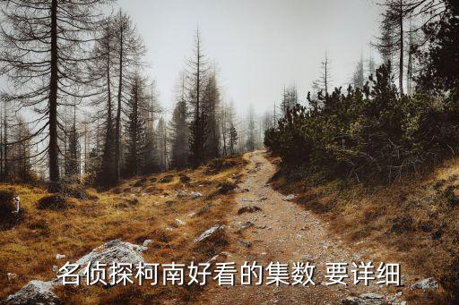 名偵探柯南好看的集數 要詳細
