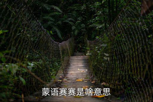 廉賽，什么是簡樸賽