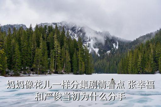媽媽像花兒一樣分集劇情看點(diǎn) 張幸福和嚴(yán)俊當(dāng)初為什么分手