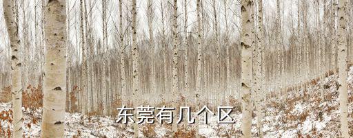 東莞有幾個區