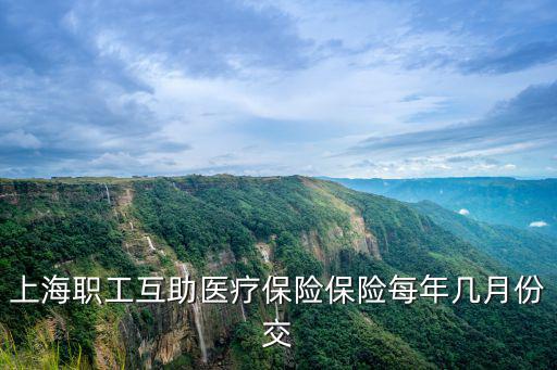 上海職工互助醫(yī)療保險保險每年幾月份交