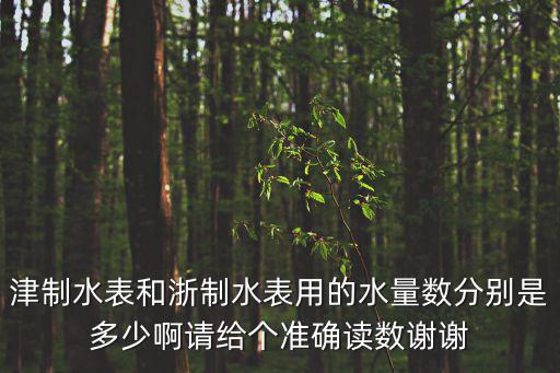 津制水表和浙制水表用的水量數分別是多少啊請給個準確讀數謝謝