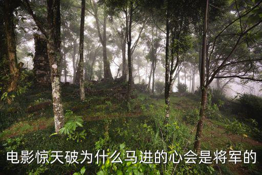 電影驚天破為什么馬進的心會是將軍的