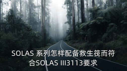 SOLAS 系列怎樣配備救生筏而符合SOLAS III3113要求