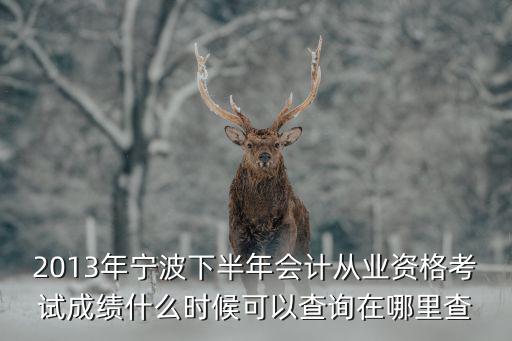 2013年寧波下半年會計從業資格考試成績什么時候可以查詢在哪里查
