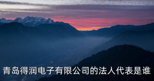 青島得潤電子有限公司的法人代表是誰