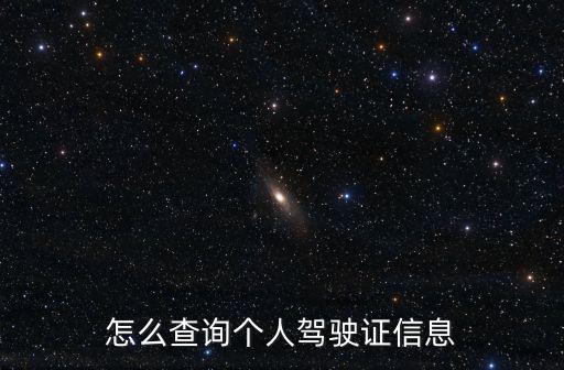 怎么查詢個人駕駛證信息