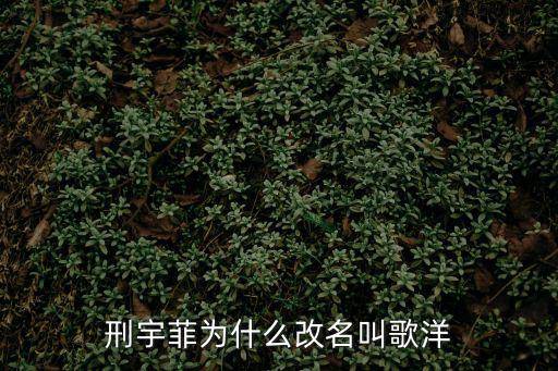 刑宇菲為什么改名叫歌洋