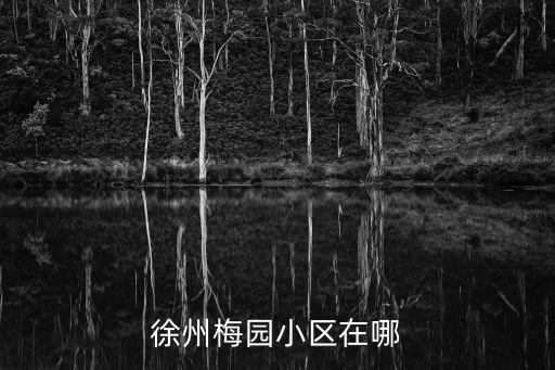 徐州梅園小區在哪