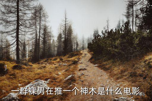 購物女王，一群裸男在推一個神木是什么電影