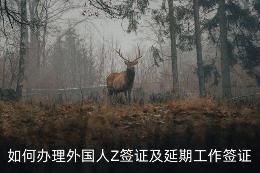z字簽證，有F簽證怎么辦Z簽證