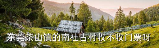 東莞茶山鎮的南社古村收不收門票呀