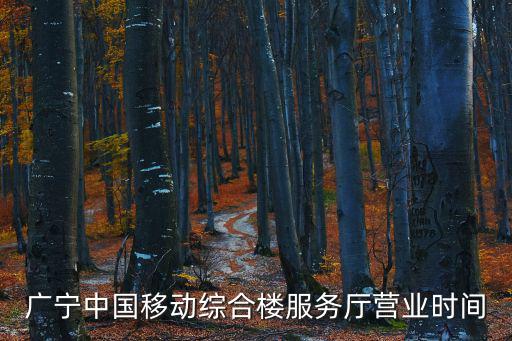 廣寧中國移動綜合樓服務廳營業(yè)時間