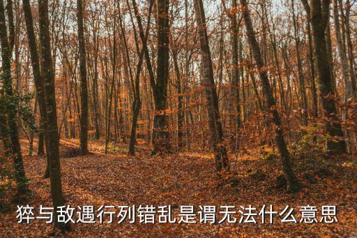 猝與敵遇行列錯亂是謂無法什么意思