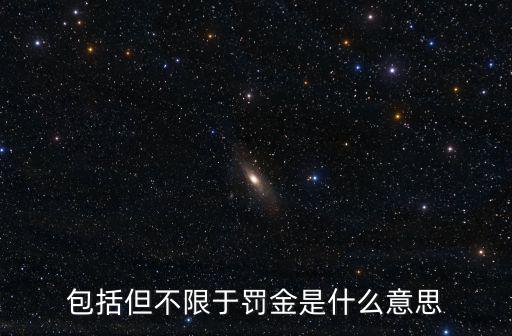 包括但不限于罰金是什么意思