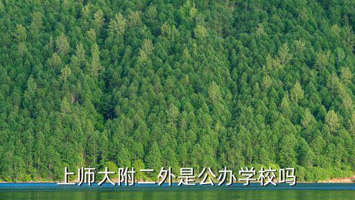 上師大附二外，看完上師大附二外覺得挺好的但是把孩子放在里面能放心嗎