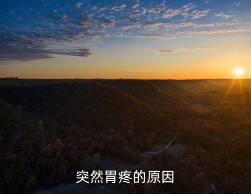 突然胃疼怎么辦，突然胃痛怎么處理啊