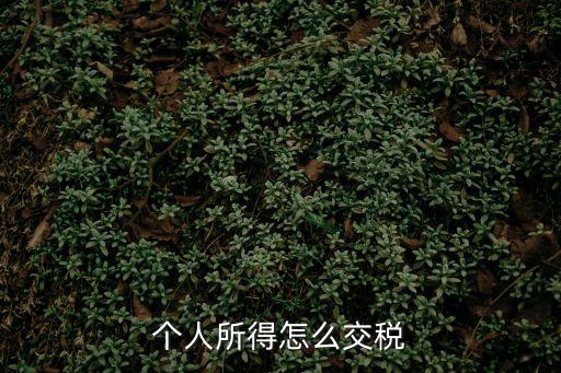 個人所得，個人所得稅的意思