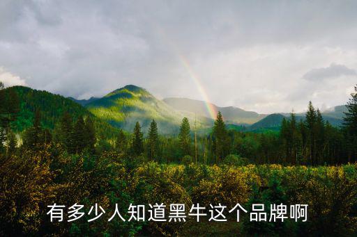 有多少人知道黑牛這個品牌啊