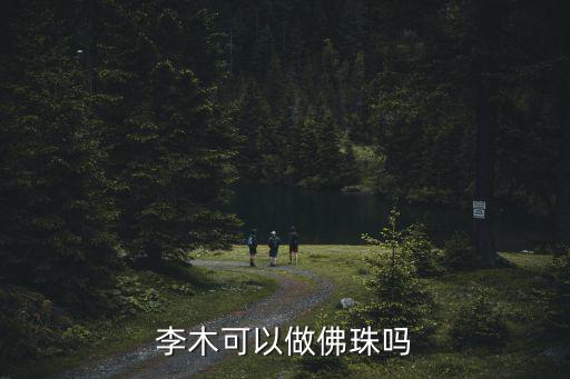 李木可以做佛珠嗎