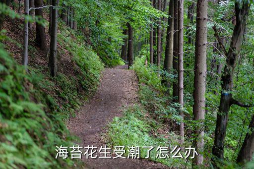 海苔花生受潮了怎么辦