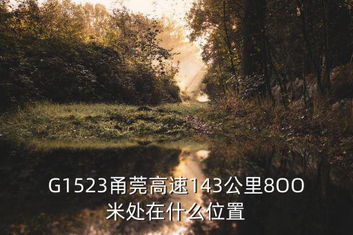 甬莞高速，G1523甬莞高速143公里8OO米處在什么位置