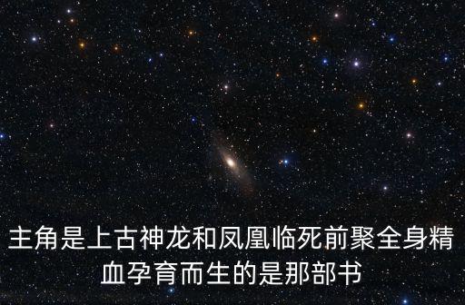 主角是上古神龍和鳳凰臨死前聚全身精血孕育而生的是那部書