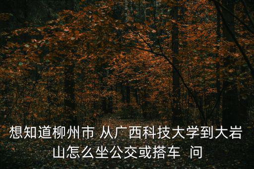 想知道柳州市 從廣西科技大學(xué)到大巖山怎么坐公交或搭車(chē)  問(wèn)