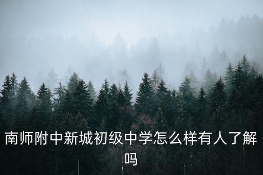 新城初級中學(xué)，南師附中新城初級中學(xué)怎么樣有人了解嗎