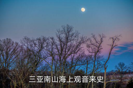 三亞南山海上觀音來史