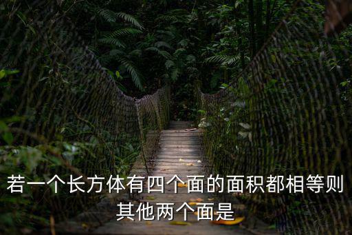 若一個(gè)長方體有四個(gè)面的面積都相等則其他兩個(gè)面是